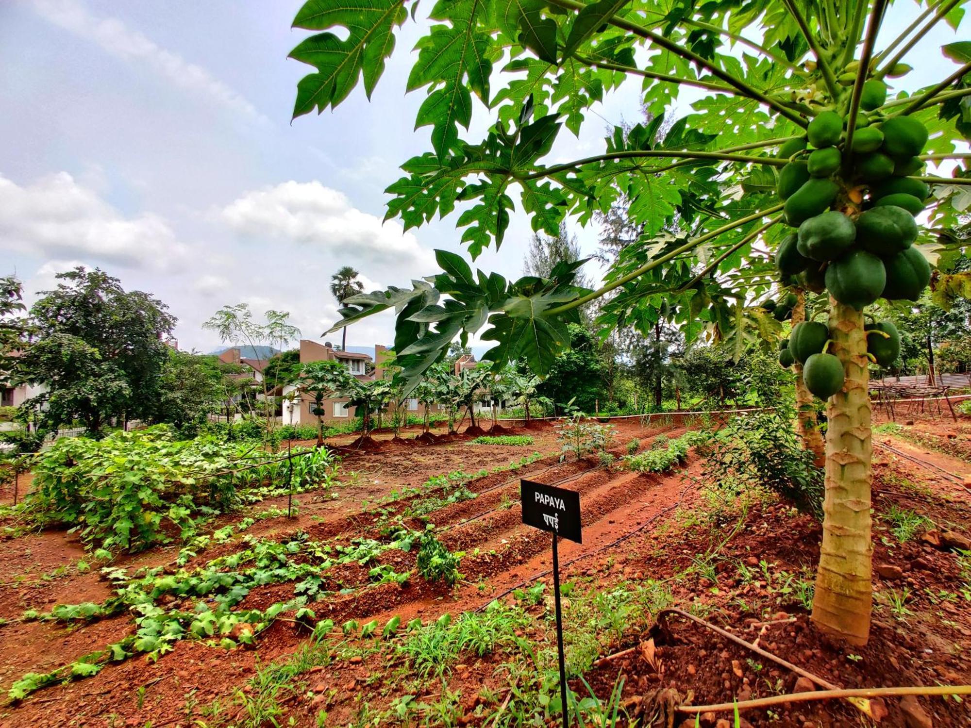 Pushpam Sanskruti Resort Karjat - A Pure Veg Resort Dhamni Bagian luar foto