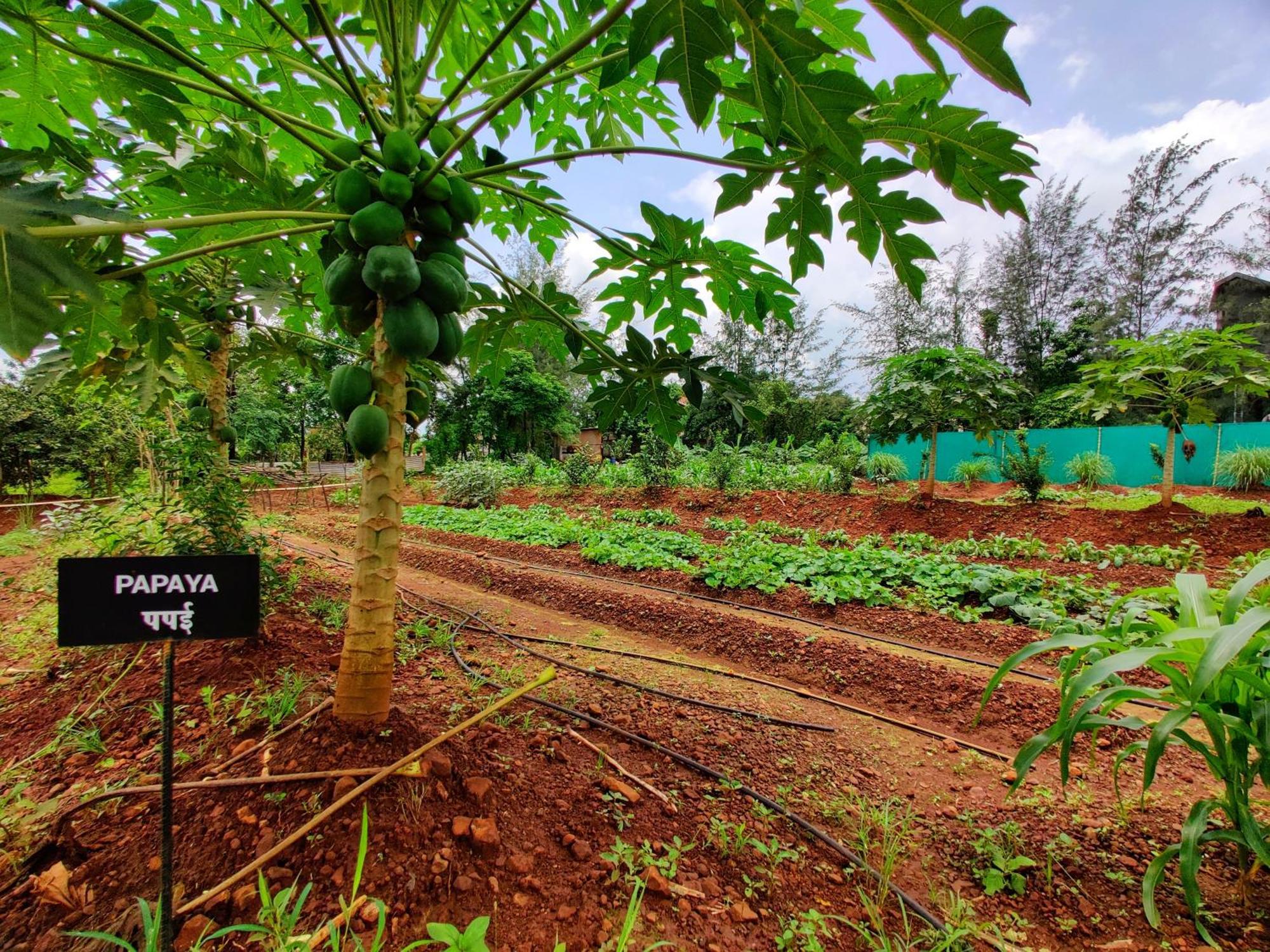 Pushpam Sanskruti Resort Karjat - A Pure Veg Resort Dhamni Bagian luar foto