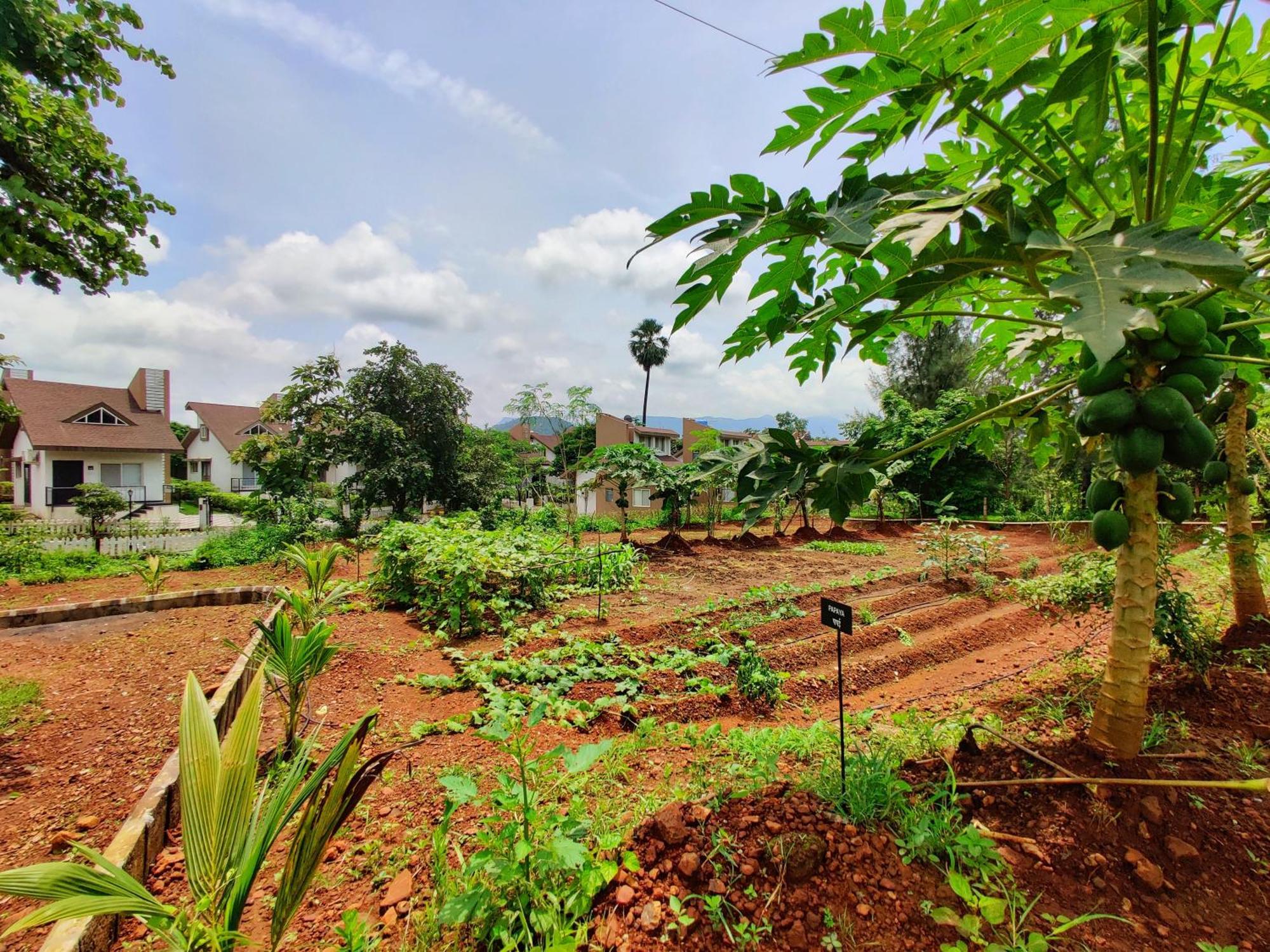 Pushpam Sanskruti Resort Karjat - A Pure Veg Resort Dhamni Bagian luar foto